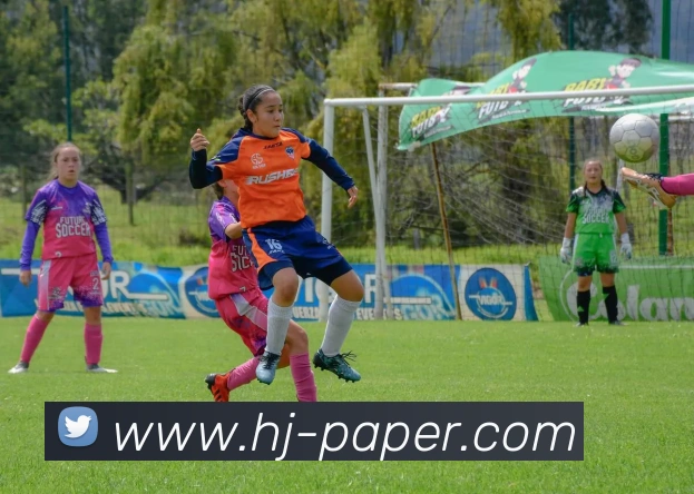 爱游戏平台生态图